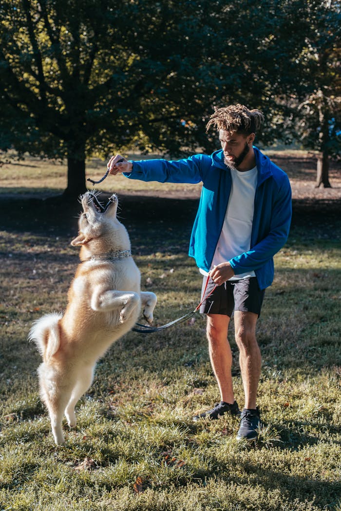 Young ethnic guy playing with purebred dog in park